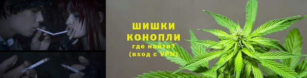 прущая мука Нея