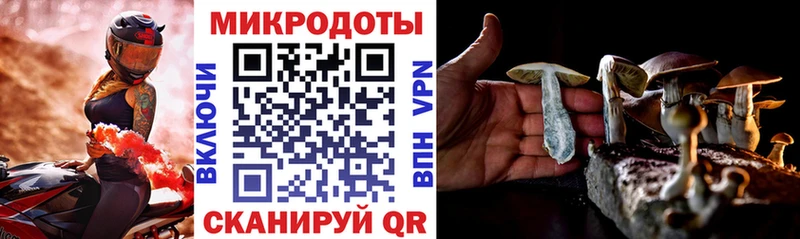 Купить  Никольское  Галлюциногенные грибы Magic Shrooms 